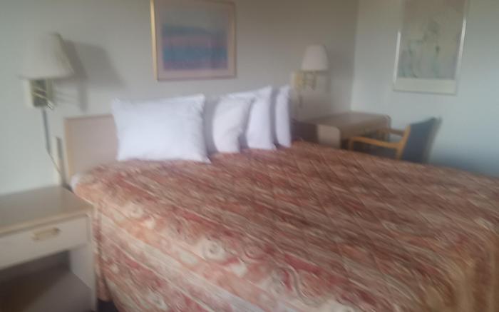 Tree Inn & Suites Albuquerque