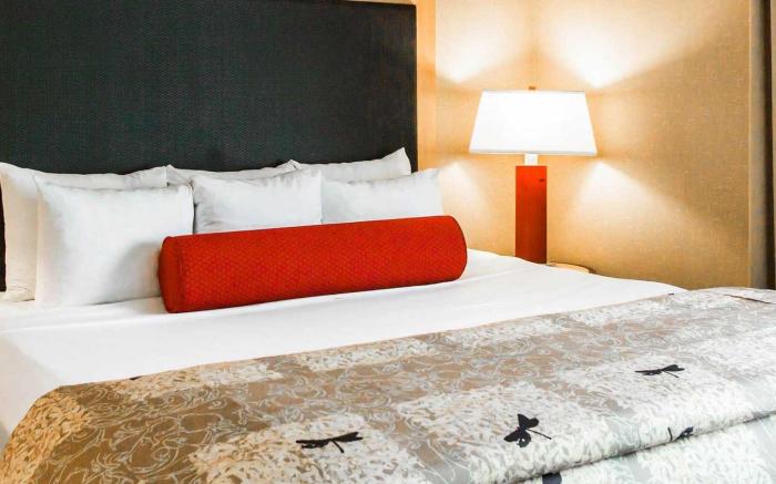 Cambria Hotel Rapid City near Mount Rushmore