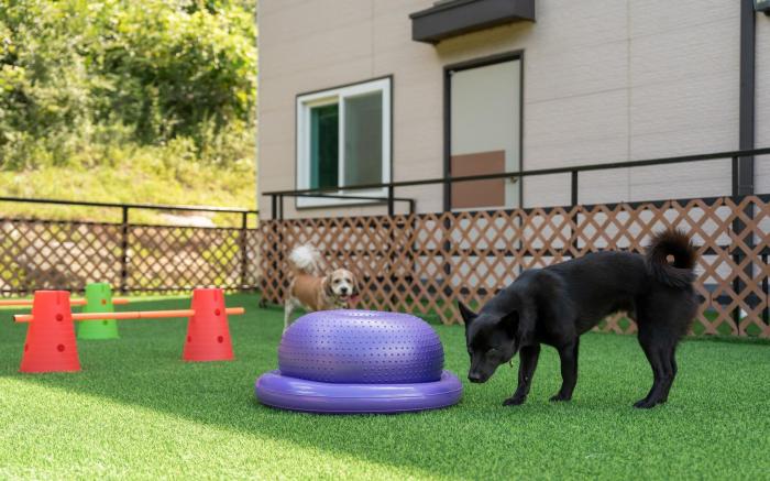 Hongcheon Stoneisland Pension