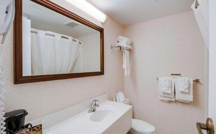 Comfort Inn Virginia Horse Center
