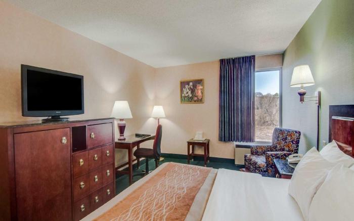 Comfort Inn Virginia Horse Center