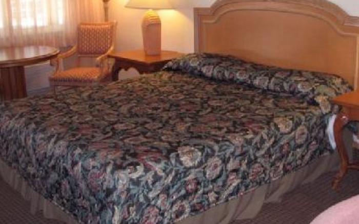 Safari Inn - Chico