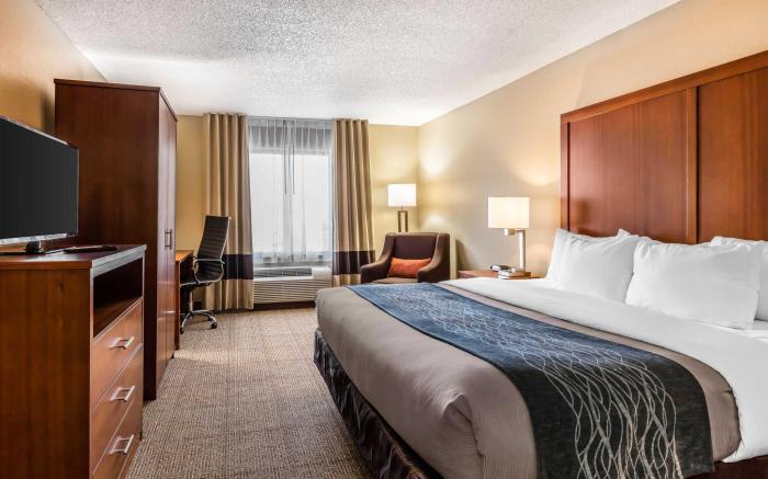 Comfort Inn & Suites Airport-American Way