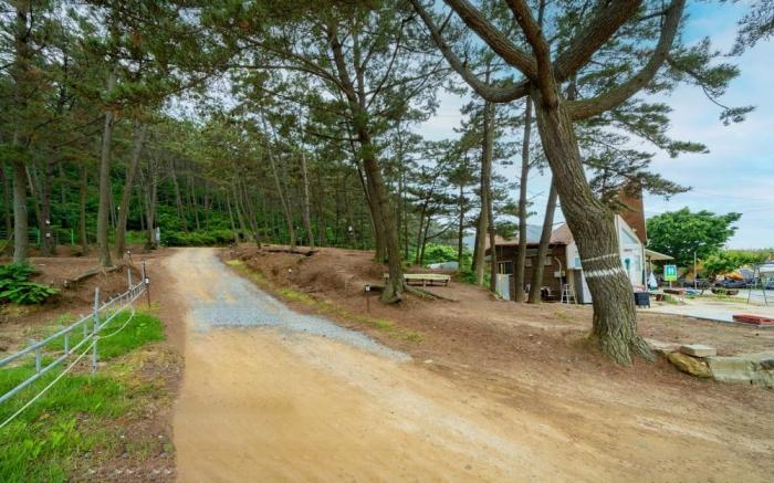 Bakripo Badawa Padosori Camping pension