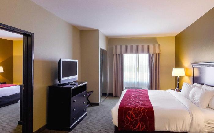 Comfort Suites University