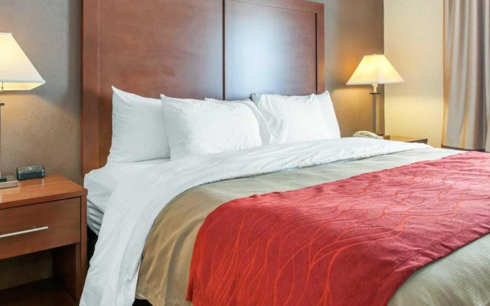 Comfort Inn Warren I-69
