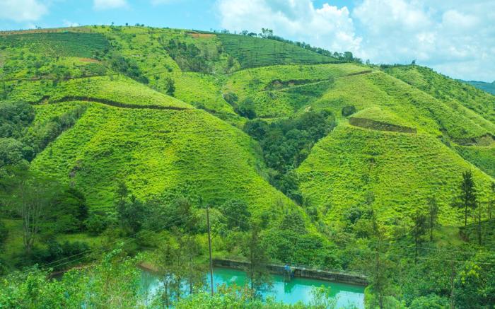 Hidden Valley Vagamon Cottage by VOYE HOMES