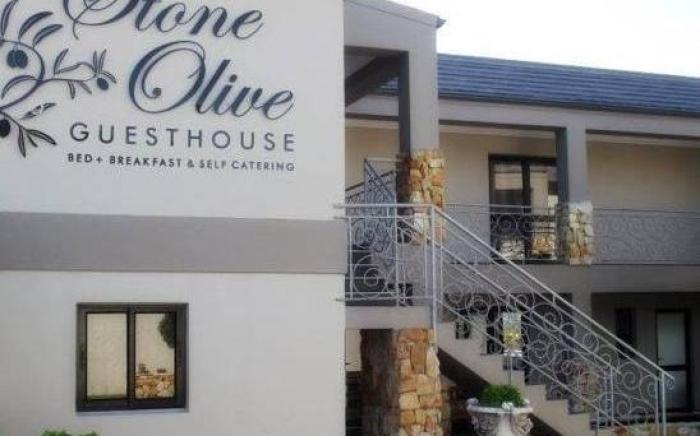 Stone Olive