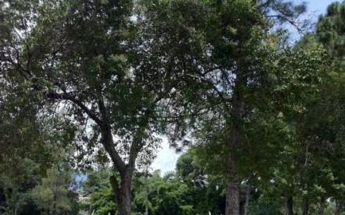 Terrazas de Golf Boutique Hotel