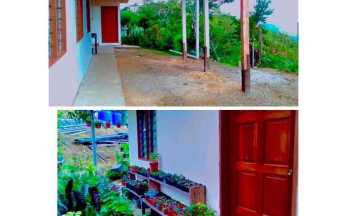 WILL HOMESTAY KUNDASANG