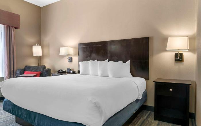 Comfort Inn & Suites Toledo North