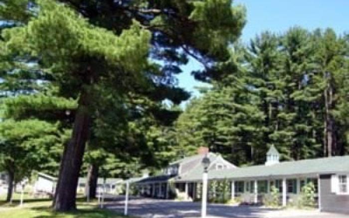 White Trellis Motel