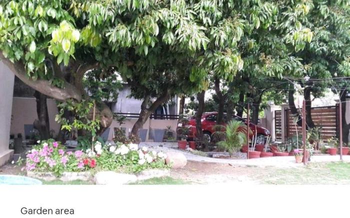 Beautiful Lychee Bungalow in Dehradun 
