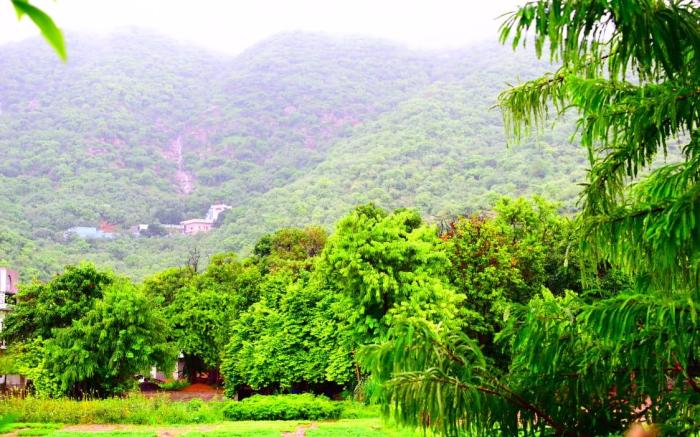 Hotel 777 Pushkar