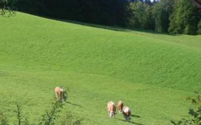 Alpenhotel Beslhof