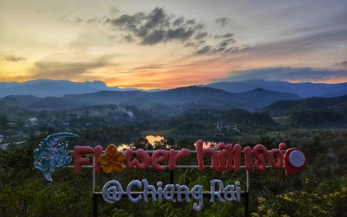 Flower hill 180