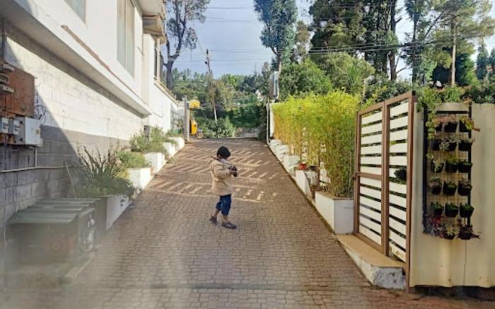 Hotel Olives Pleasant Stay