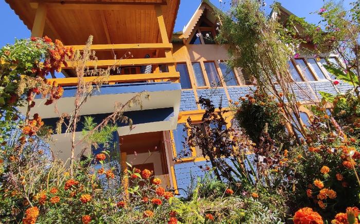 Himalayan dream home 🏠🏡 (1st floor)
