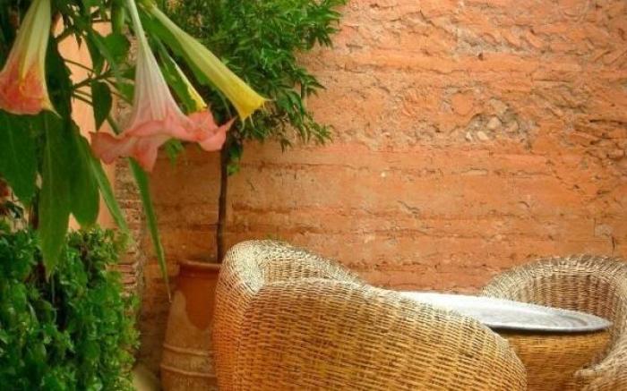 Riad Tibibt