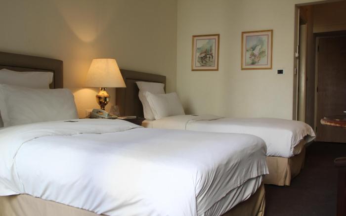 Hotel Napoleon Beirut