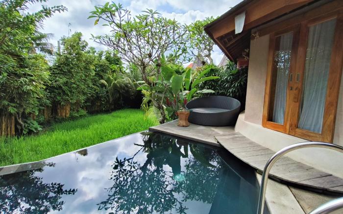 The Sender Pool Suite