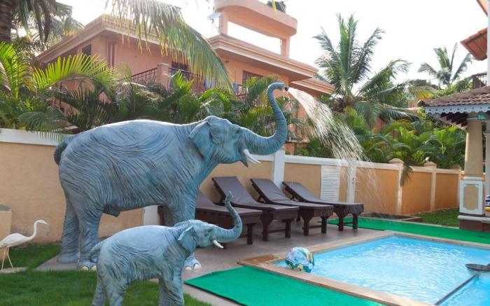 Lavish Executive Villa with Private Swimming Pool