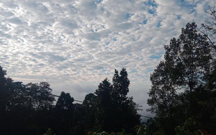 Peace and nature, Takdha 