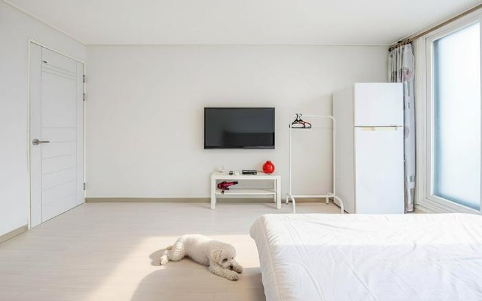 Sokcho World Pet-Friendly (Paid) Pension