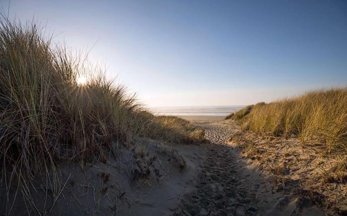 Best Western Inn at Face Rock