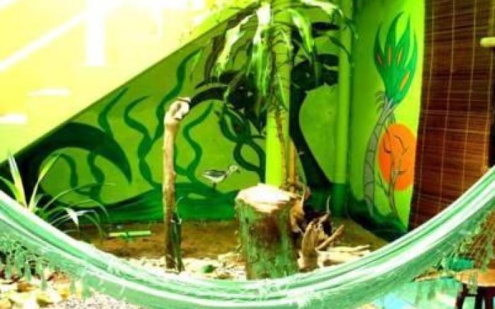 Papagaio Hostel & Pousada
