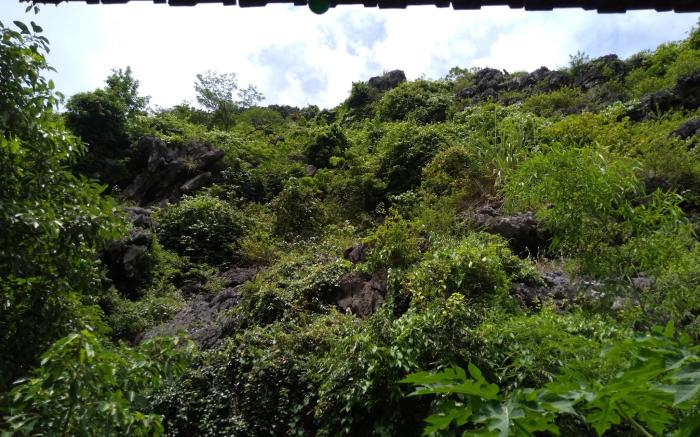 Ali Homestay Ninh Binh