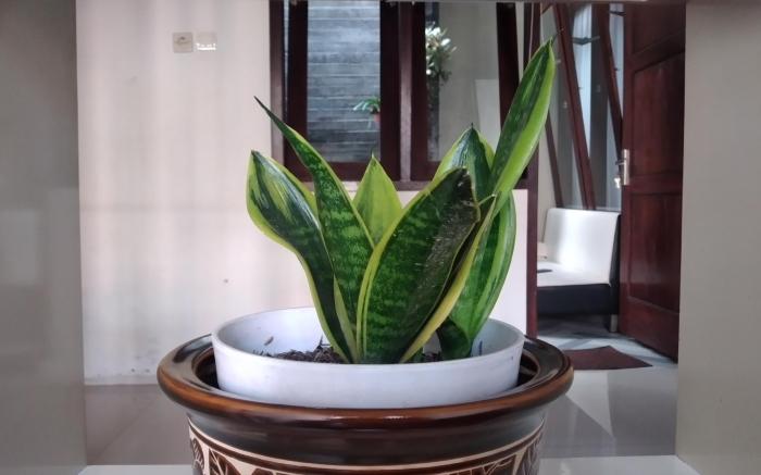 Calya Wisata Homestay