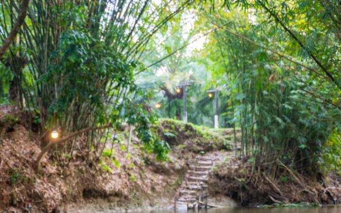 Khao lak camping