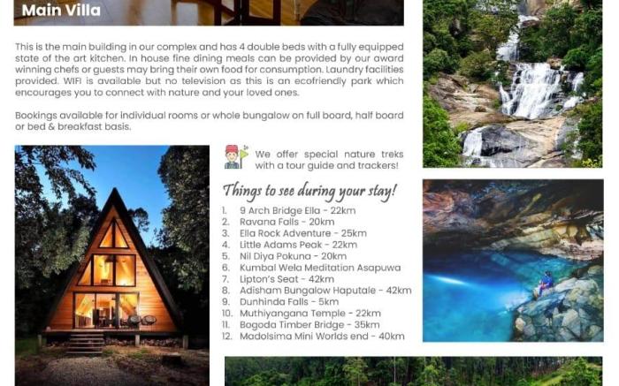 Tree Nature Resort