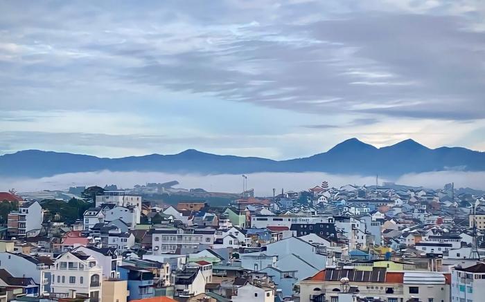 Tường Vy Dalat Central 