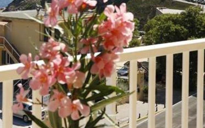Hotel Mediterranee