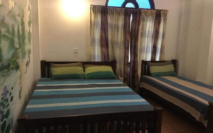 Jungle City Hostel