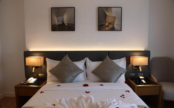 Hayes Hotel Addis Abeba