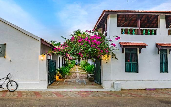 Neemrana's Coconut Alley