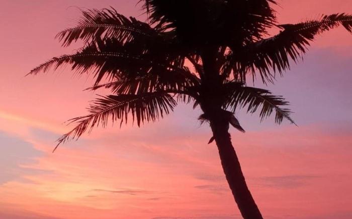 Thodiyil Private Beach View Chalet  varkala