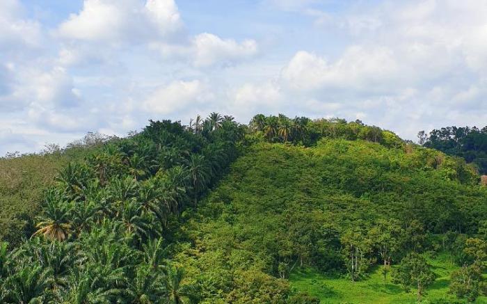 KLIA | Sepang Ehsan Residences 15 mins to AIRPORT!