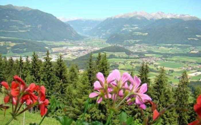 Chalets Almdorf Haidenberg