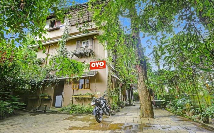 Collection O Clement Holydays