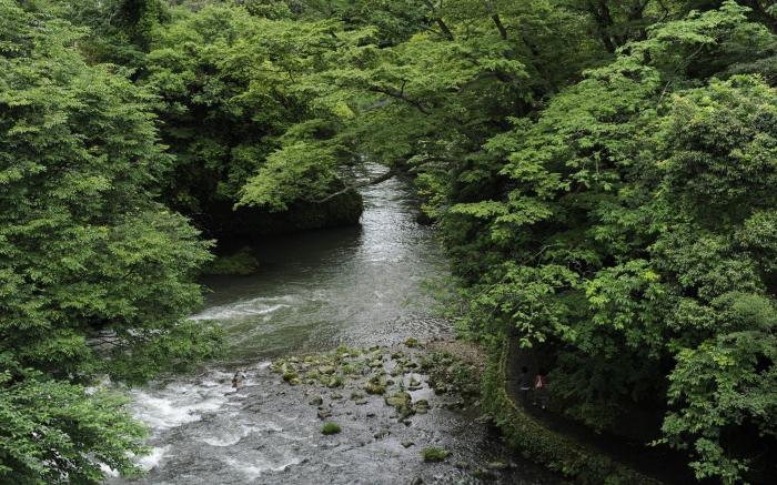 Shirasagiyu Tawaraya