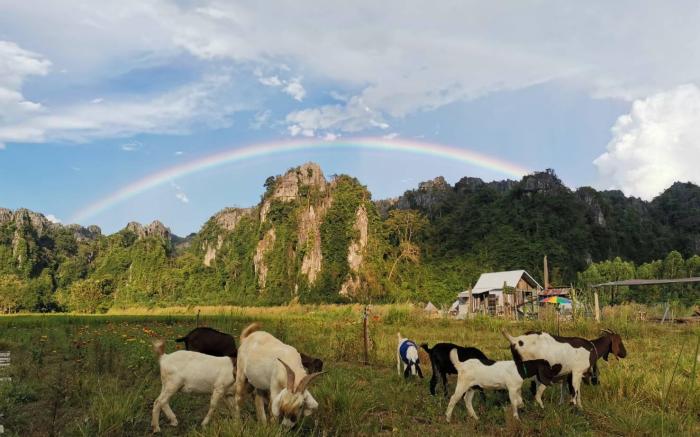 A Moment of Love...by Red Z, Baan Mung