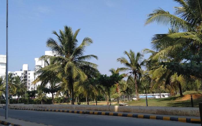Lovely 2 BHK apartment in Bangalore