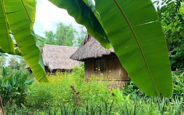 Saigon Garden Homestay 