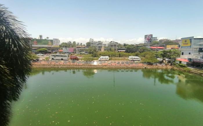 Green Garden Apartments