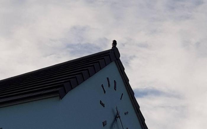 HANI Haus-Looney House  -Full Sea view with luxury