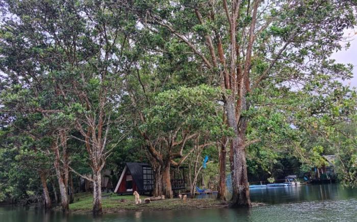 A haus Villa 1 - isla del Antonio